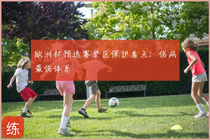 欧洲杯预选赛禁区保护看点:伤病最伤体系
